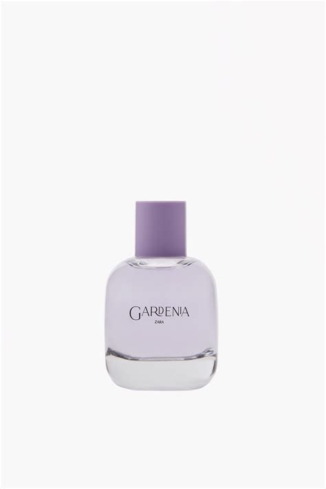 profumi zara persistenti